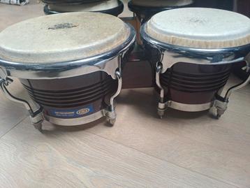 Supercussion bongo's