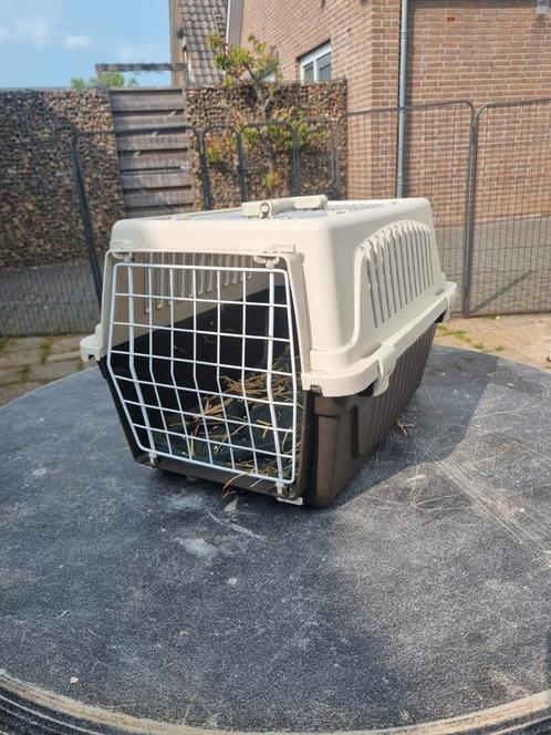 Reiskoffer Geschikt voor kat, konijn, cavia etc., Dieren en Toebehoren, Knaagdieren en Konijnen | Toebehoren, Zo goed als nieuw