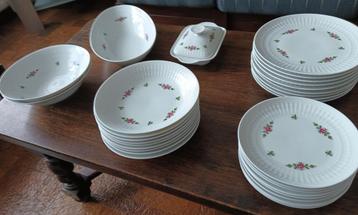 Prachtig porseleinen romantisch Servies met rozenmotief beschikbaar voor biedingen