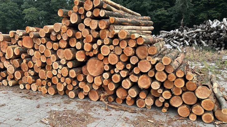 Stammen brandhout stookhout haardhout, Tuin en Terras, Haardhout, Minder dan 3 m³, Ophalen of Verzenden