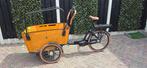 Elektrische bakfiets Vogue Carry 3, 4 kinderen of meer, Zo goed als nieuw, Elektrisch, Ophalen