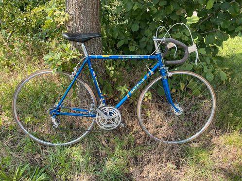Oude Gazelle Champion Mondial racefiets, Fietsen en Brommers, Fietsen | Racefietsen, Gebruikt, Gazelle, 10 tot 15 versnellingen
