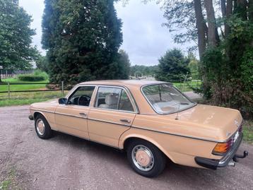 Mercedes-Benz 200-280 (W123) 250 beschikbaar voor biedingen