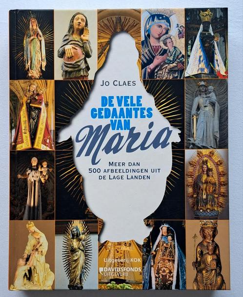De vele gedaantes van Maria - meer dan 50 afbeeldingen, Boeken, Godsdienst en Theologie, Nieuw, Christendom | Katholiek, Ophalen of Verzenden