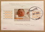 NVPH 2243 Blok Amalia, Postzegels en Munten, Postzegels | Nederland, Ophalen of Verzenden, Na 1940, Gestempeld
