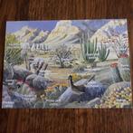 woestijn leven USA / desert life / cactus roadrunner quail, Verzamelen, Ophalen of Verzenden, 1980 tot heden, Ongelopen, Natuur