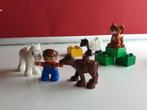 LEGO DUPLO Dierenverzorging baby dieren set nr 5646, Ophalen of Verzenden, Gebruikt, Complete set, Duplo