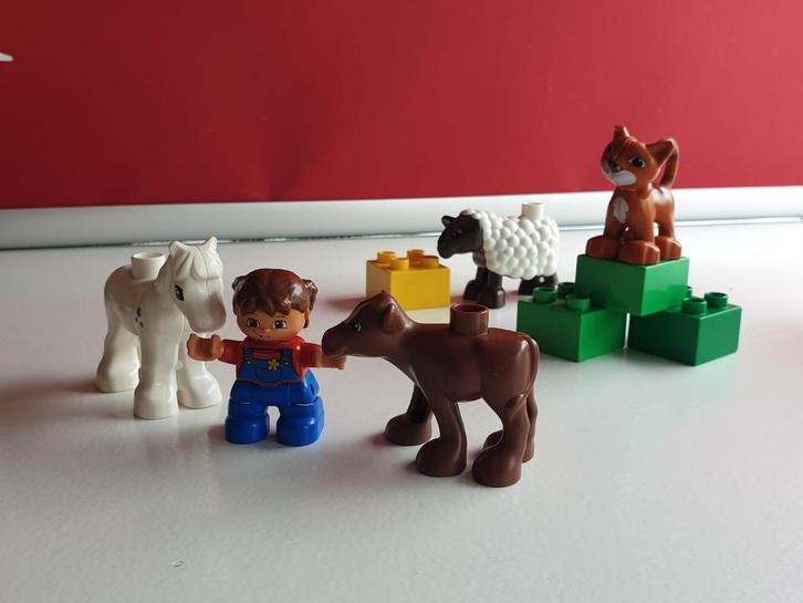 LEGO DUPLO Dierenverzorging baby dieren set nr 5646, Kinderen en Baby's, Speelgoed | Duplo en Lego, Gebruikt, Duplo, Complete set