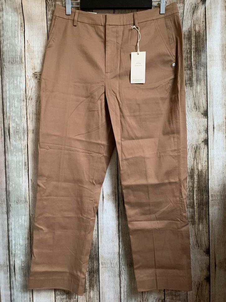 Nieuwe gave Maison Scotch Chino (Maat W31/L32), Kleding | Dames, Broeken en Pantalons, Nieuw, Maat 38/40 (M), Bruin, Lang, Verzenden