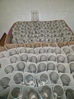 146x  Champagne glas, Verzamelen, Glas en Borrelglaasjes, Ophalen, Overige typen