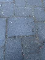Grijze stenen voor oprit of terras, Ophalen, Gebruikt, Overige typen, 10 m² of meer
