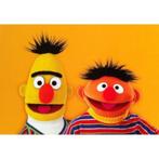 Sesamstraat - bert & ernie kaart bij Stichting Superwens!, Ophalen of Verzenden, Nieuw