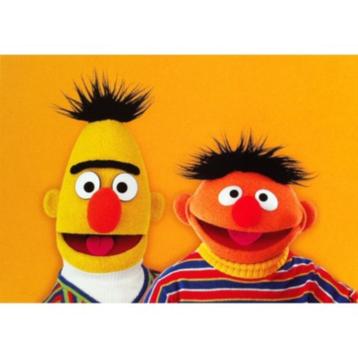 Sesamstraat - bert & ernie kaart bij Stichting Superwens!   beschikbaar voor biedingen