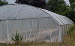 Kas Polytunnel, Ophalen, Gebruikt, Staal