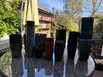 Zaad/plant bakjes  beschikbaar voor biedingen