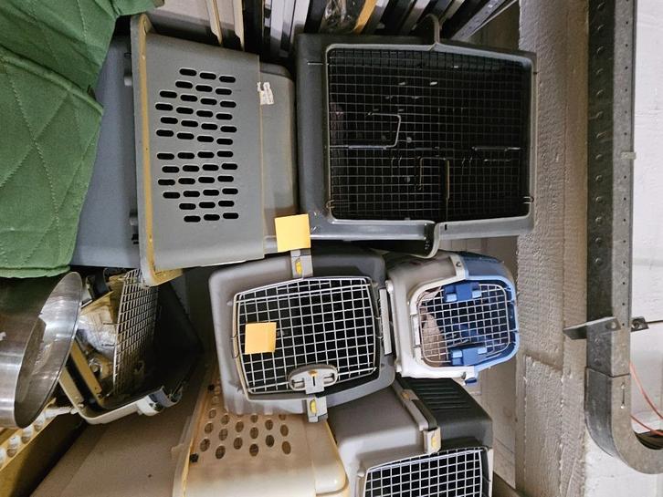 Reismand, Dieren en Toebehoren, Overige Dieren-accessoires, Zo goed als nieuw, Ophalen