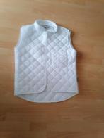 Bodywarmer M, Kleding | Dames, Bodywarmers, Ophalen of Verzenden, Zo goed als nieuw, Maat 46/48 (XL) of groter, Wit