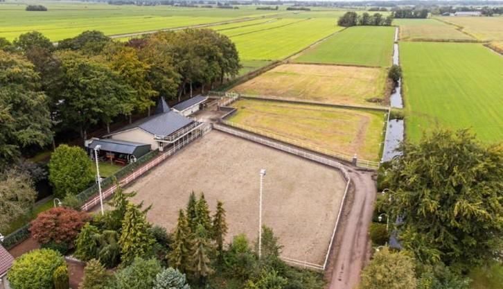 Enthousiaste betrouwbare stalhulp gezocht bij particulier, Dieren en Toebehoren, Stalling en Weidegang
