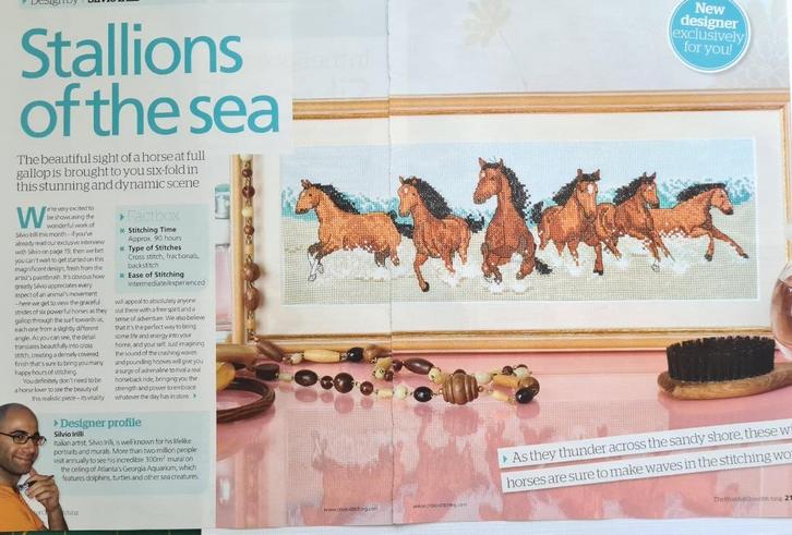 Paarden in draf op het strand borduurpatroon, Hobby en Vrije tijd, Borduren en Borduurmachines, Nieuw, Patroon, Handborduren, Ophalen