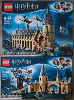 LEGO Harry Potter 75954 & 75953 - Hogwarts Sets, Kinderen en Baby's, Speelgoed | Duplo en Lego, Ophalen of Verzenden, Gebruikt