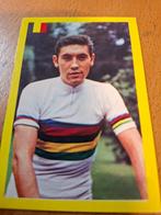 Vintage wielrenplaatjes 13 stuks, Verzamelen, Ophalen of Verzenden, Gebruikt