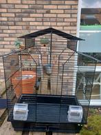 Vogelkooi, Ophalen, Zo goed als nieuw, Metaal, Vogelkooi