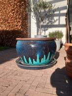 Grote plantenbak blauw aardewerk met schaal groot, Ophalen, 40 cm of meer, Rond, Binnen