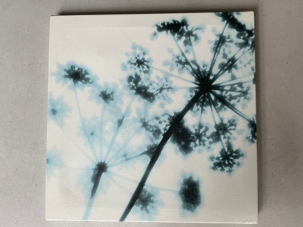 2 IKEA reproducties 35cm/35cm samen €5,00, Ophalen of Verzenden