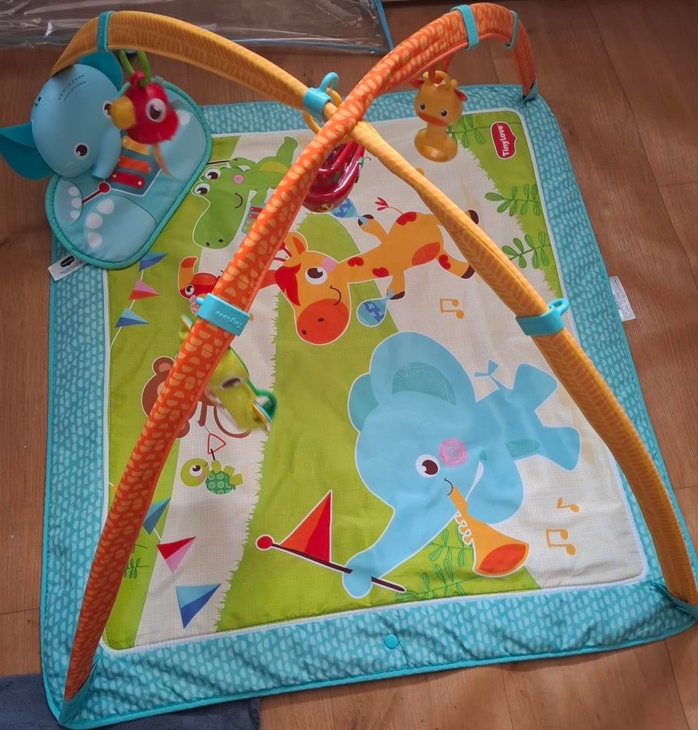 Tiny Love speelkleed met bogen, Kinderen en Baby's, Speelgoed | Babyspeelgoed, Ophalen