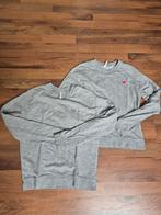 Leuke grijze sweaters met hartje, Kleding | Dames, Maat 38/40 (M), Ophalen of Verzenden, Onbekend, Grijs