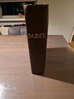 Bijbel, Antiek en Kunst, Antiek | Boeken en Bijbels, Ophalen of Verzenden