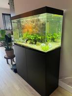 Aquarium, Ophalen, Leeg aquarium