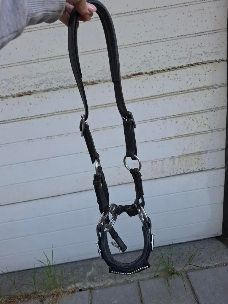 F.R.A hackamore bitloos hoofdstel cob, Ophalen of Verzenden, Zo goed als nieuw, Dressuur