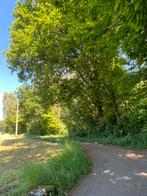 Te koop +/- 1 Ha bosgrond te Lanaken, Huizen en Kamers, Kavels en Percelen