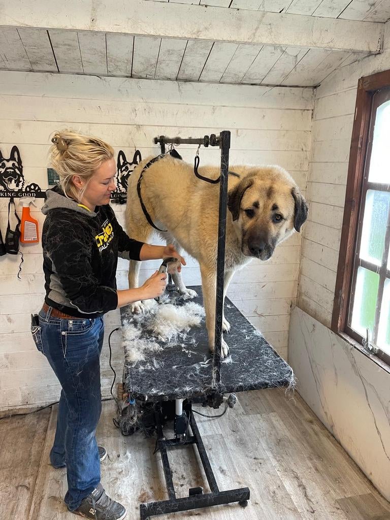 Trimsalon voor grote honden biddinghuizen, Ophalen of Verzenden, Nieuw