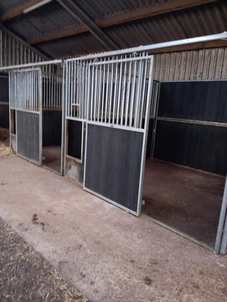 Pensionstalling voor 2 paarden/pony's, Weidegang