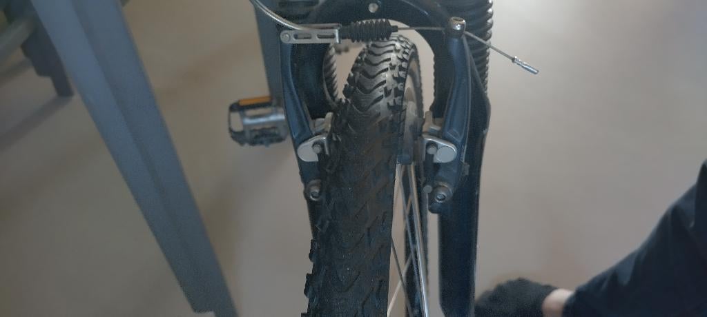 Koga herenfiets, Gebruikt, Versnellingen, 61 tot 65 cm, Ophalen