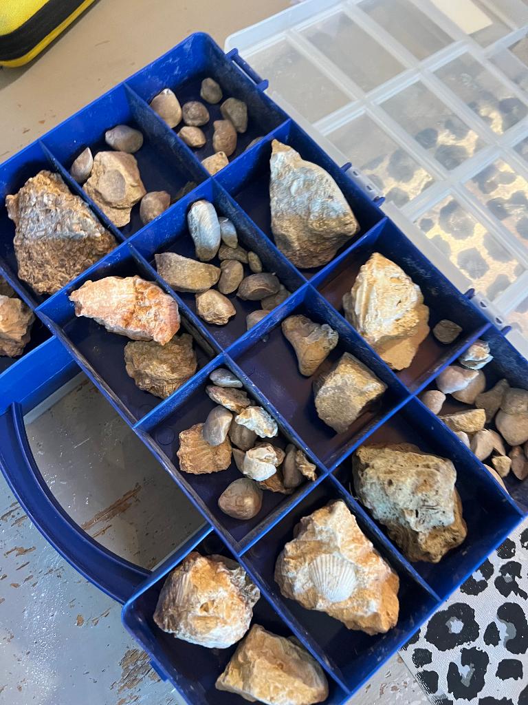 Vintage oude mineralen gesteente stenen fossielen doosje vol, Verzamelen, Mineralen en Fossielen, Ophalen of Verzenden, Fossiel