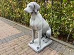Engelse Jachthond ,Pointer, Weimaraner, Ophalen, Nieuw, Beton, Dierenbeeld