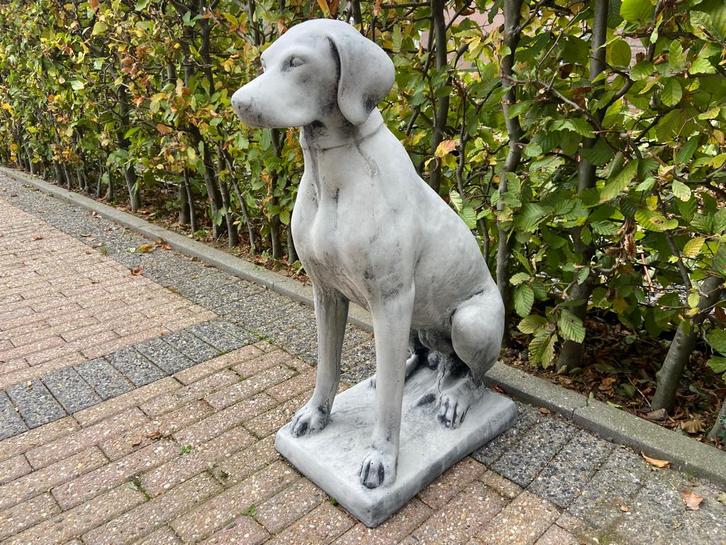 Engelse Jachthond ,Pointer, Weimaraner, Tuin en Terras, Tuinbeelden, Nieuw, Dierenbeeld, Beton, Ophalen