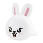 Lee Know Stray Kids Leebit official DominATE SKZOO ring, Ophalen of Verzenden, Zo goed als nieuw, Overige typen