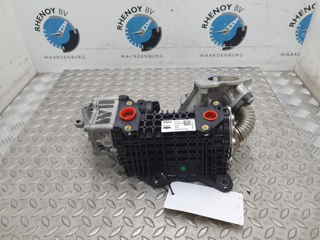 FORD FOCUS ST LINE EGR KLEP / KOELER 2021, Ophalen of Verzenden, Gebruikt, Stiba lid