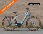 Pegasus PREMIO EVO 5F, 750 Wh Heren van: 4399 NU: 1999 OP=OP