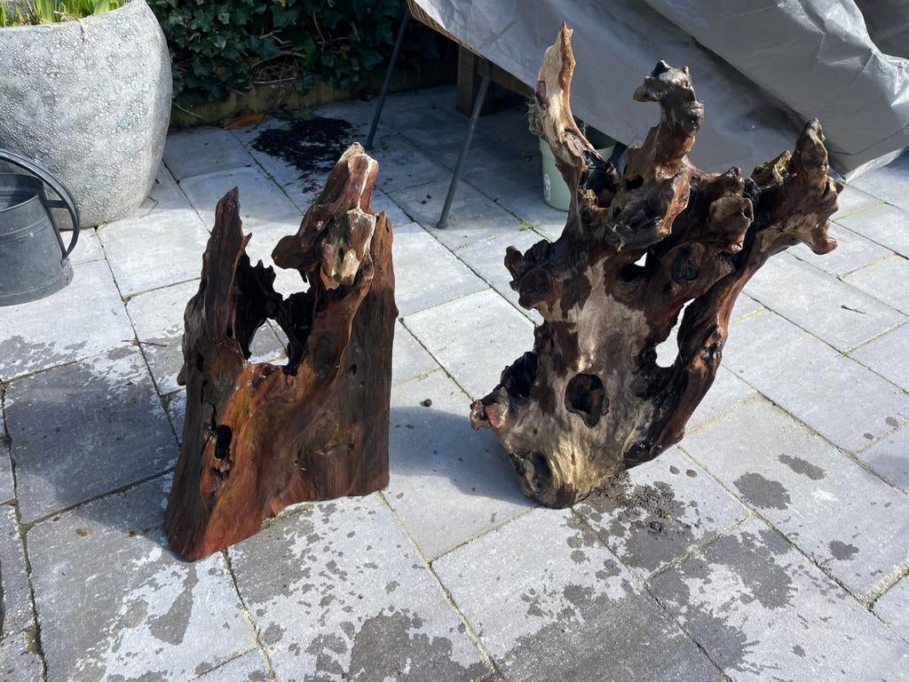 Aquarium decoratie hout, Ophalen, Plant(en), Steen of Hout