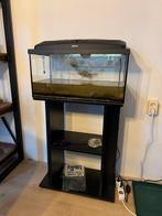 60x30x30 aquarium incl onderkast, Ophalen, Gebruikt, Leeg aquarium
