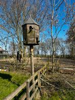 Mooie grote Duiventil, 2 verdiepingen, Meerdere dieren, Postduif