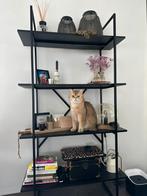 Wandkast Leenbakker, Ophalen, Gebruikt