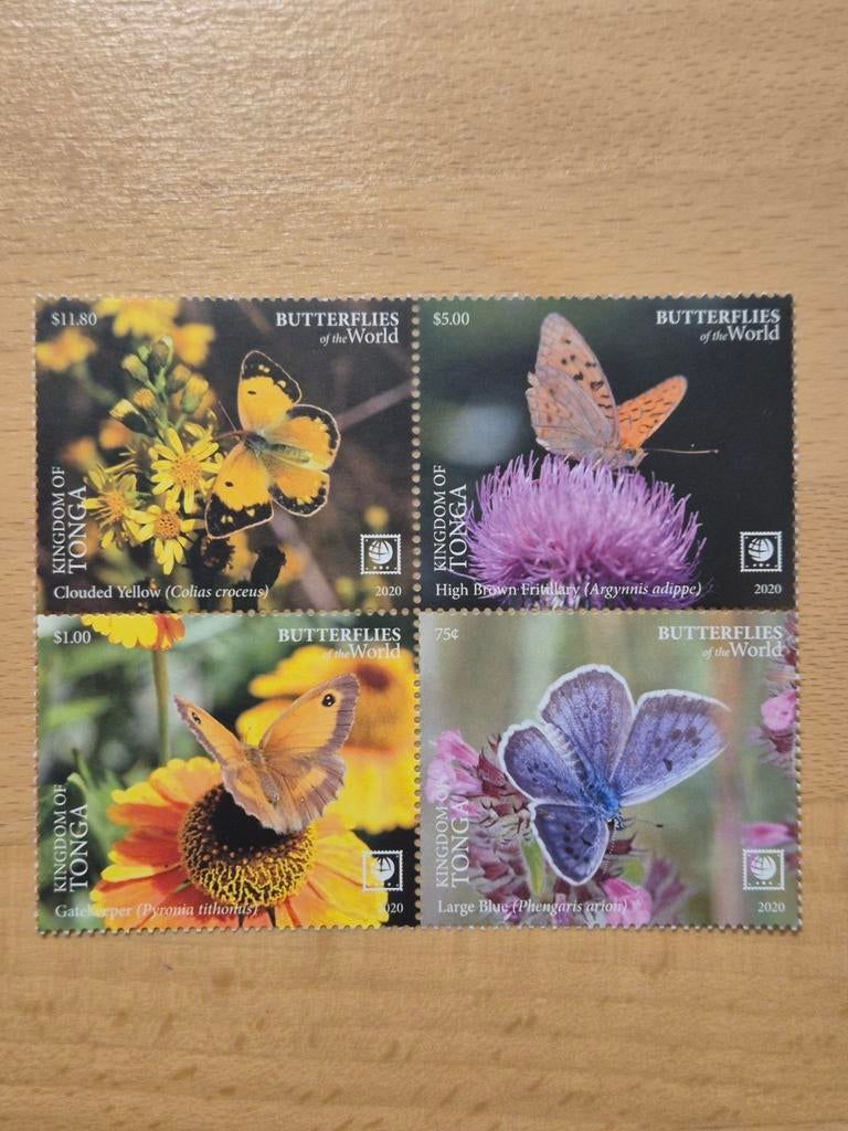 Tonga 2020 vlinders, Postzegels en Munten, Postzegels | Thematische zegels, Ophalen of Verzenden, Postfris, Dier of Natuur