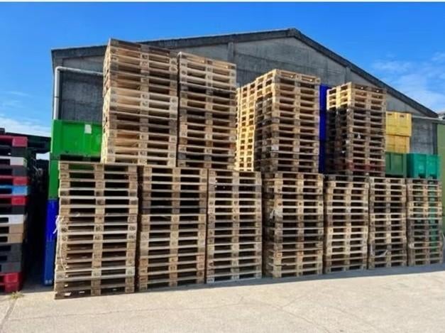 Te koop gevraagd euro paletten, Doe-het-zelf en Verbouw, Hout en Planken, Ophalen, Gebruikt, Minder dan 25 mm, Minder dan 200 cm