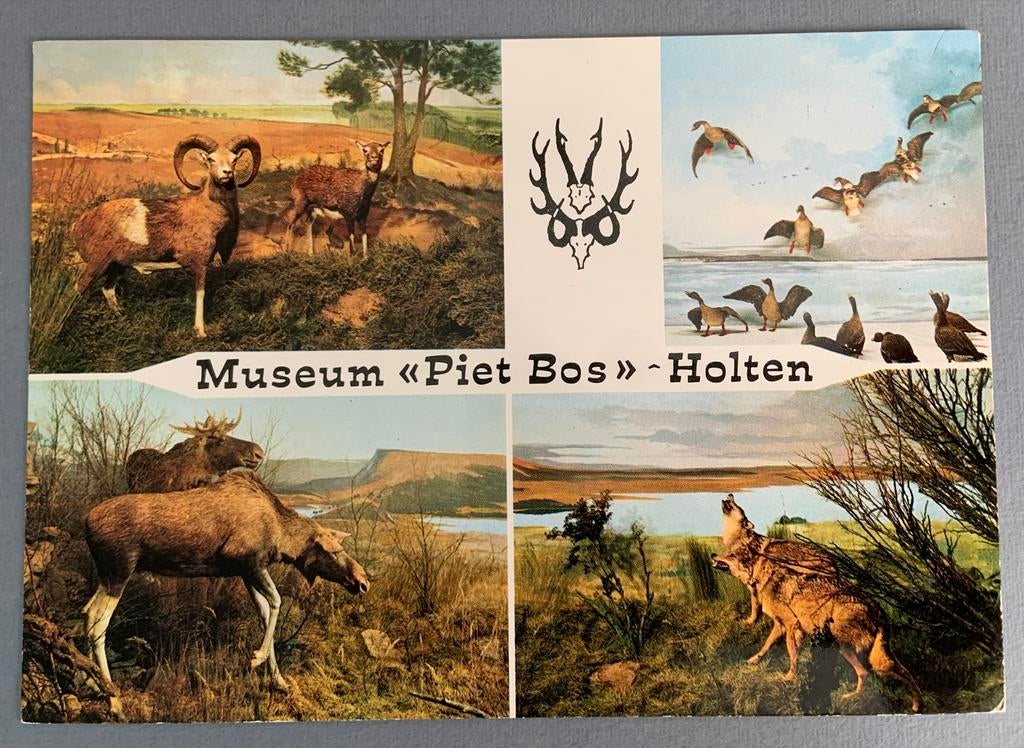 Museum Piet Bos Holten, Ophalen of Verzenden, 1960 tot 1980, Gelopen, Overijssel